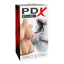 Load image into Gallery viewer, Perfect 10 Torso