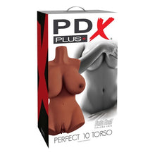 Load image into Gallery viewer, Perfect 10 Torso